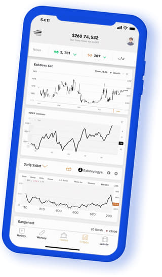 Vale Kapmere digital web application on mobile device